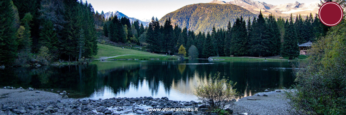 Misure di sostegno alle attività economiche del Trentino